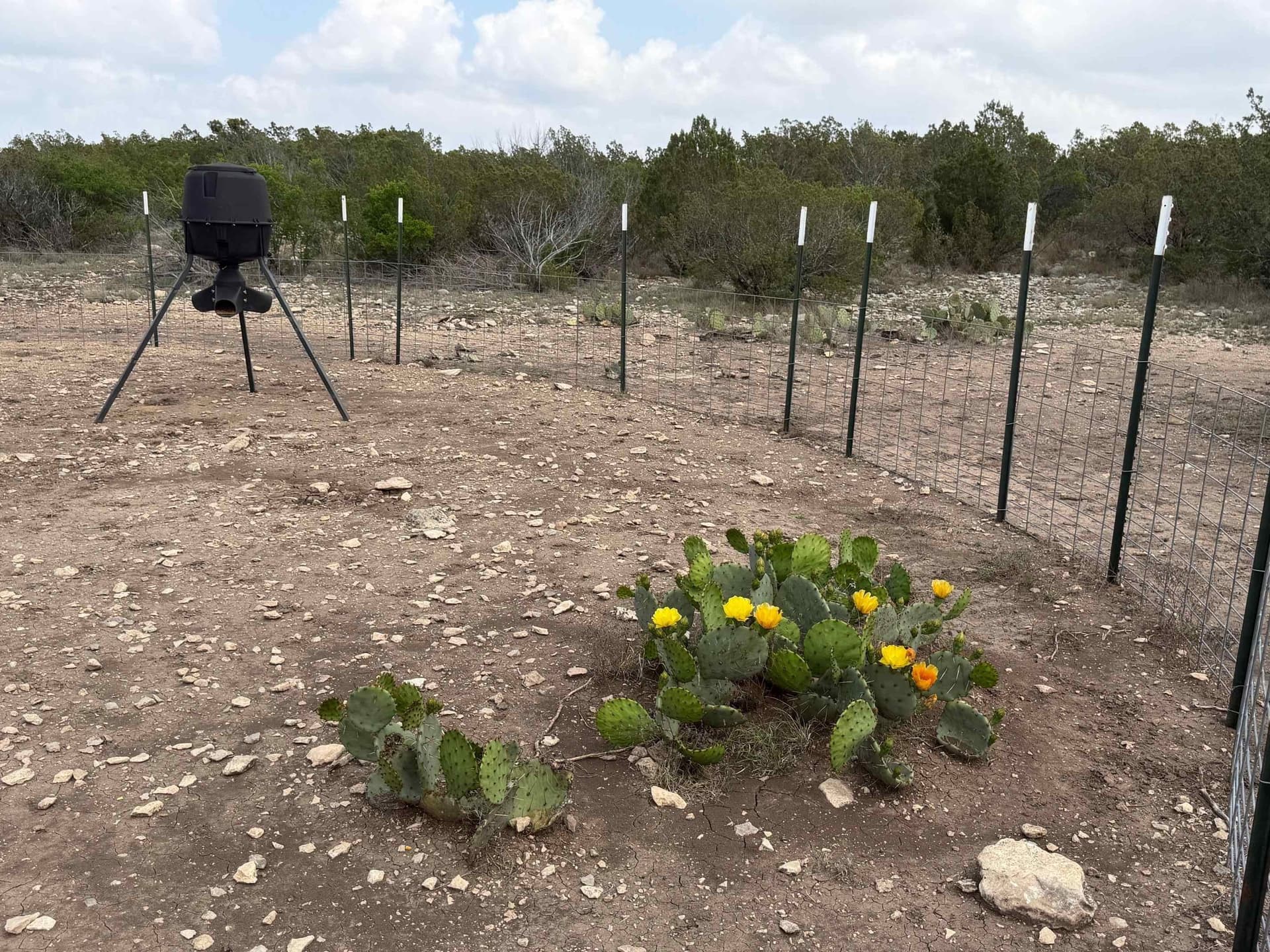 51.52 acres in Val Verde County gallery image 2