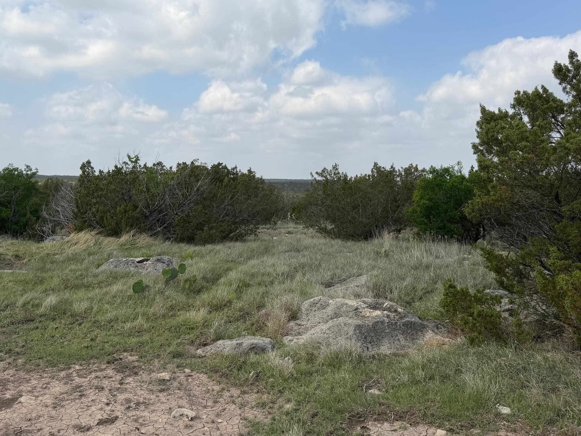 51.52 acres in Val Verde County gallery image 3