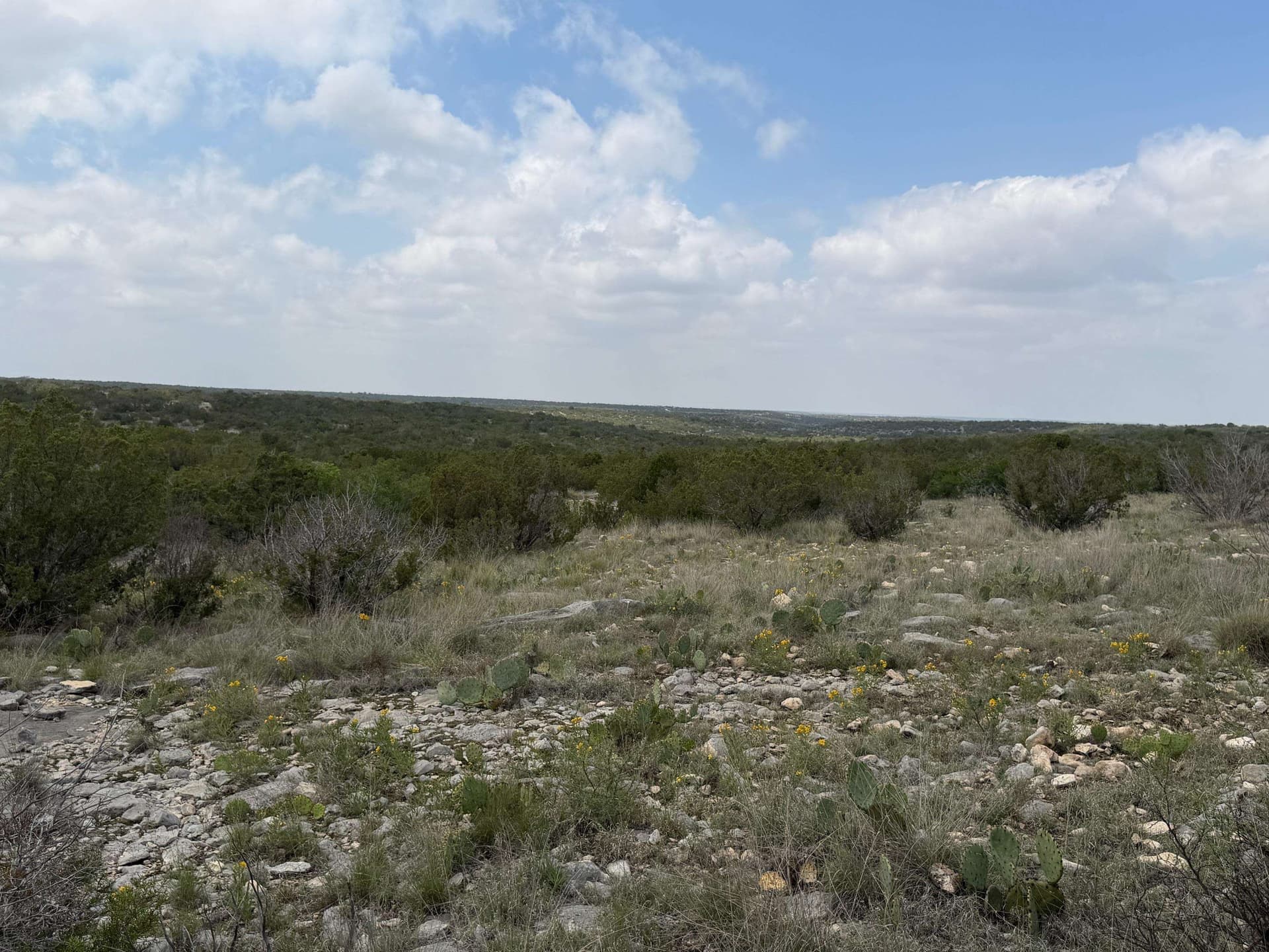 51.52 acres in Val Verde County gallery image 4