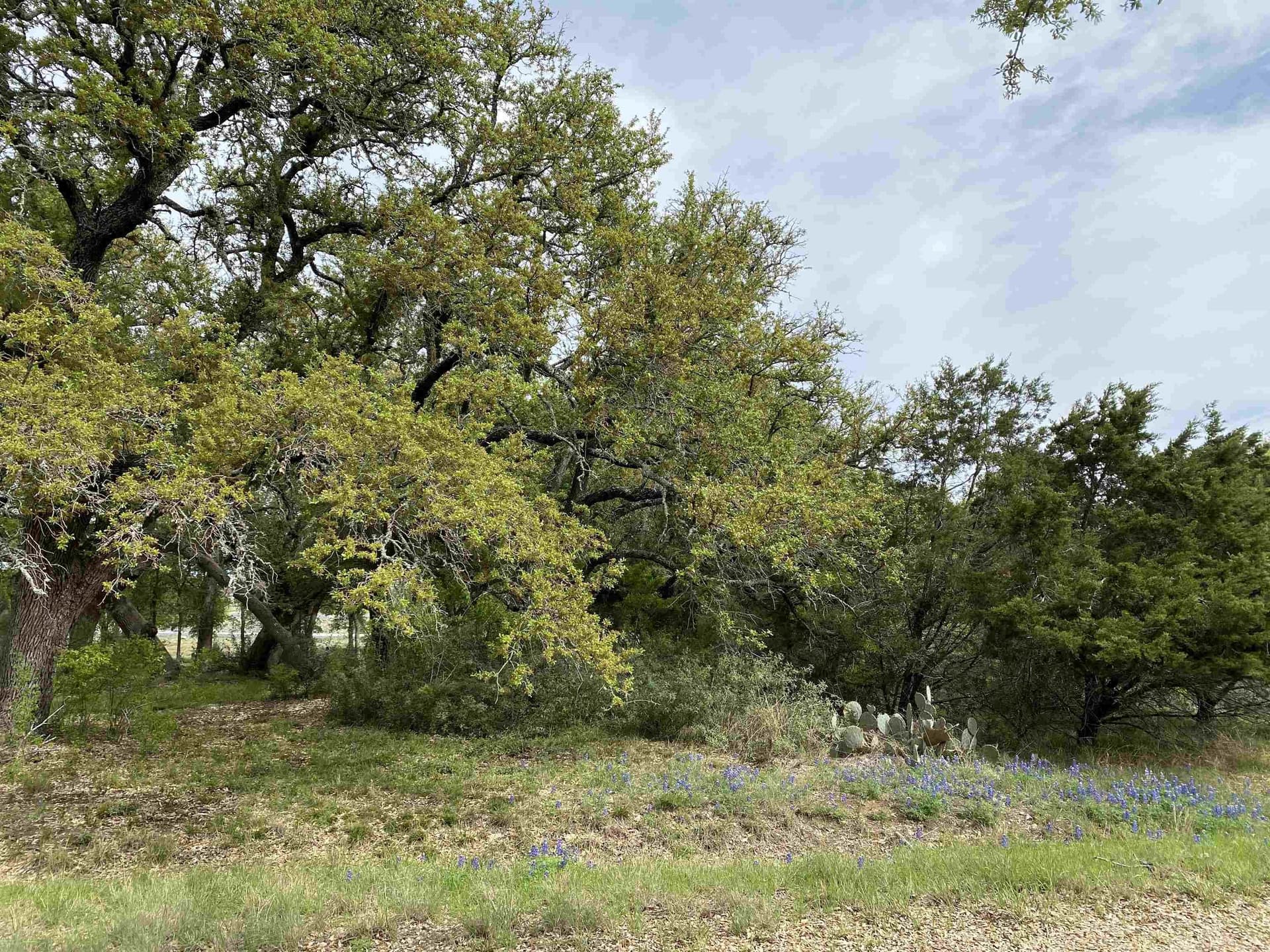 0.23 acres in Llano County