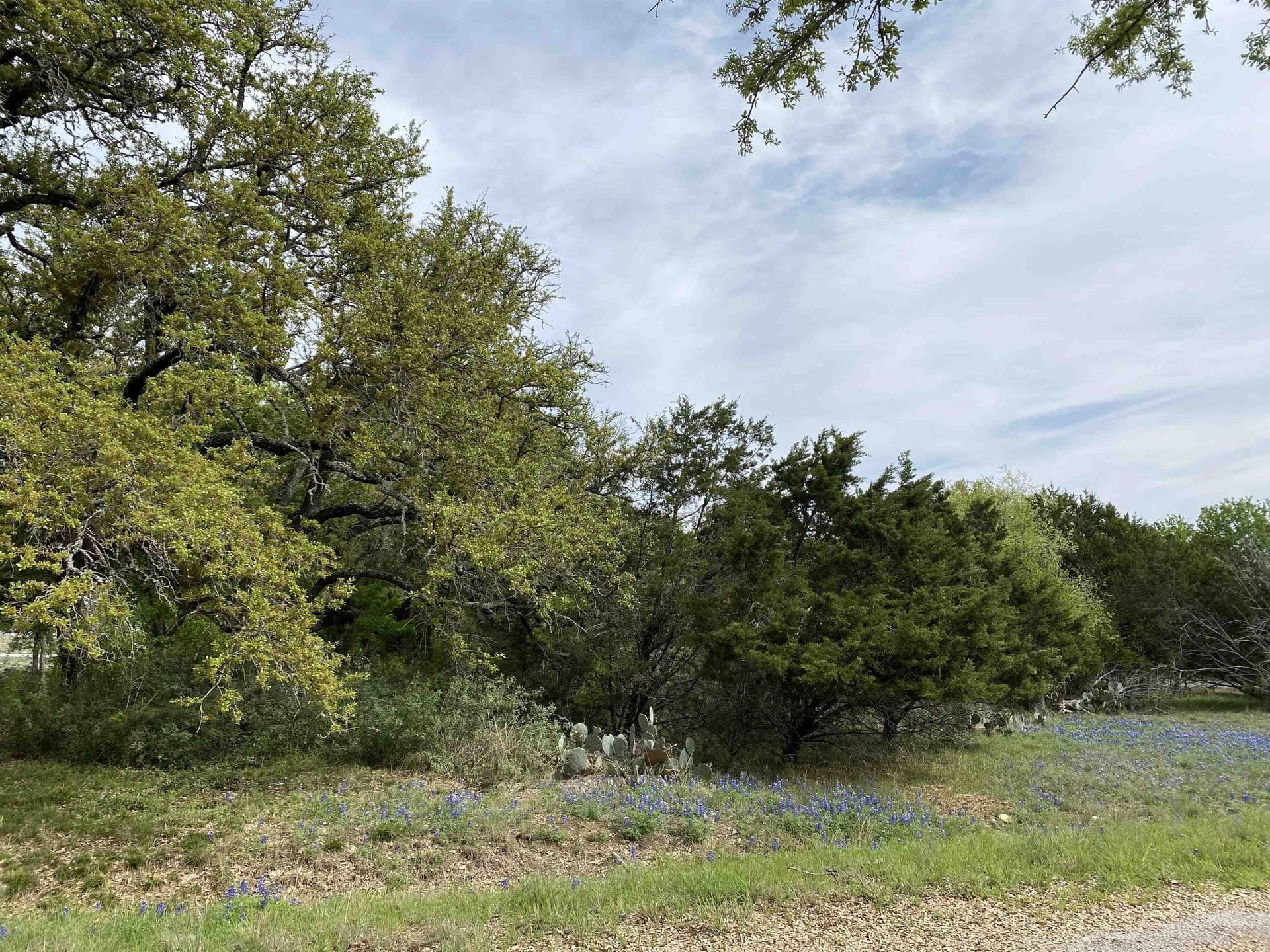 0.23 acres in Llano County featured view