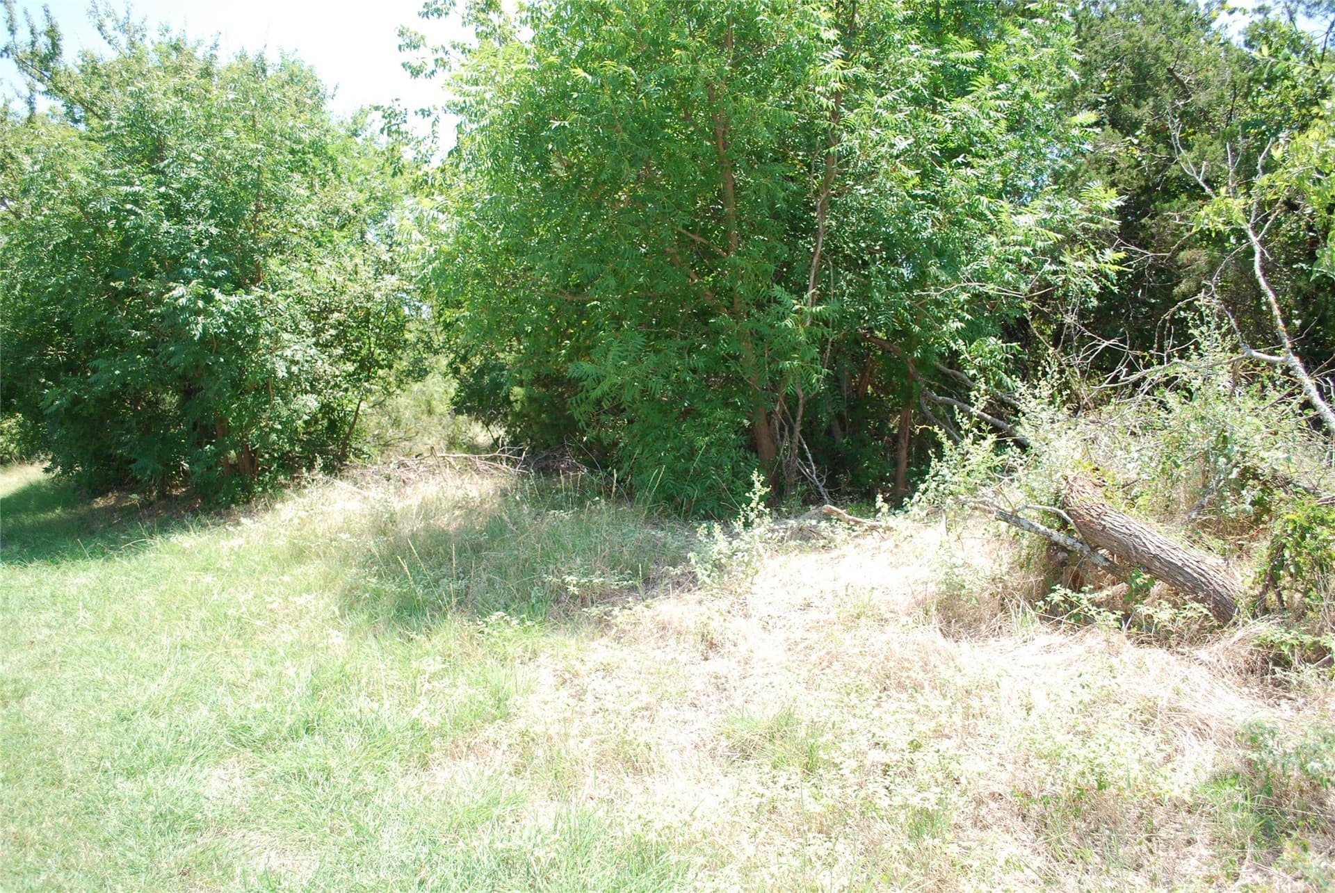 0.7 acres in Hill County - photo 10