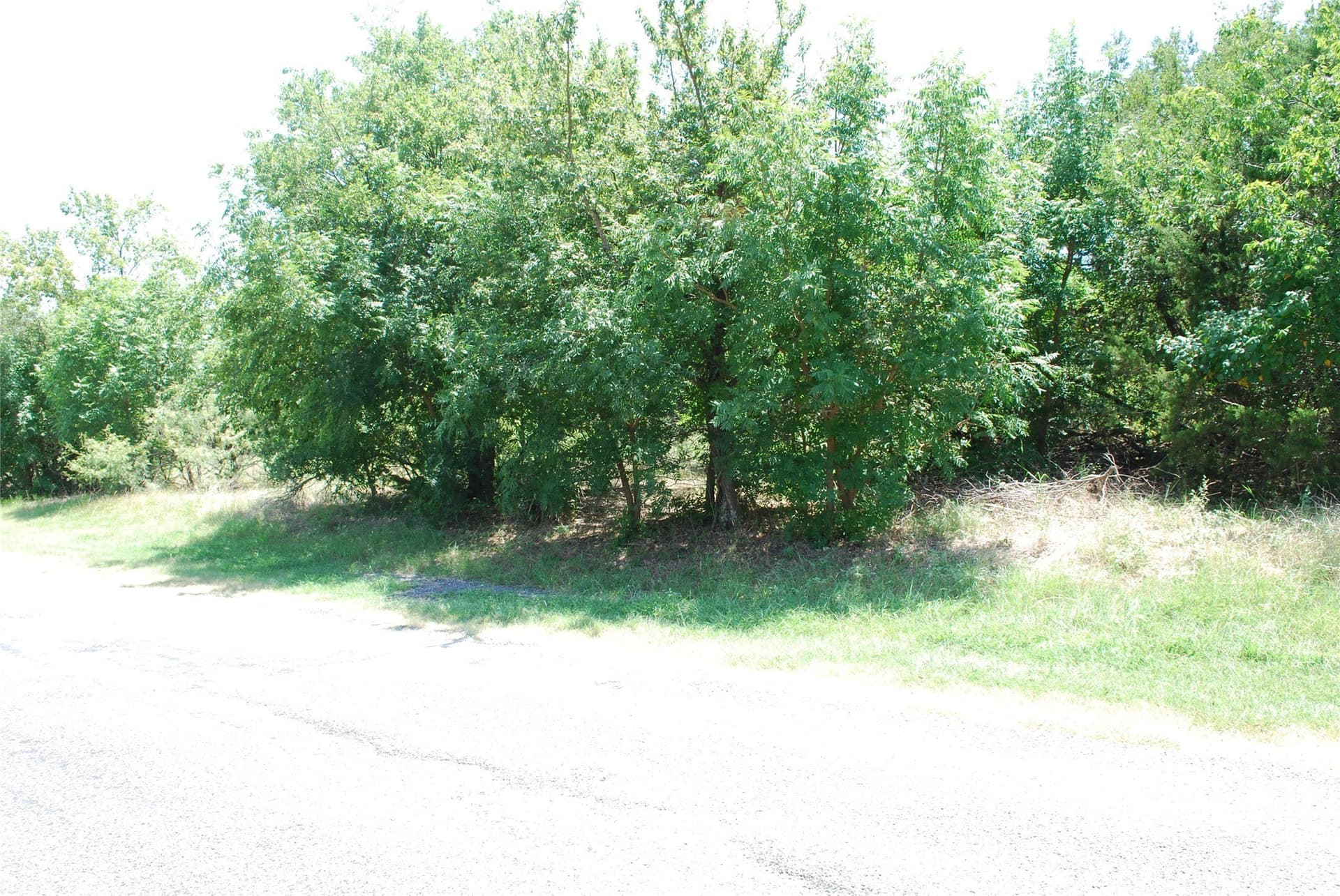 0.7 acres in Hill County gallery image 3