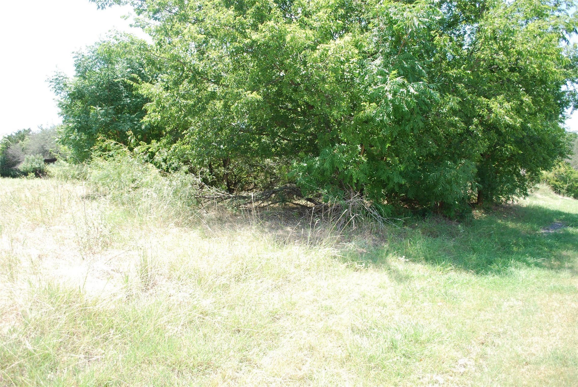 0.7 acres in Hill County - photo 7
