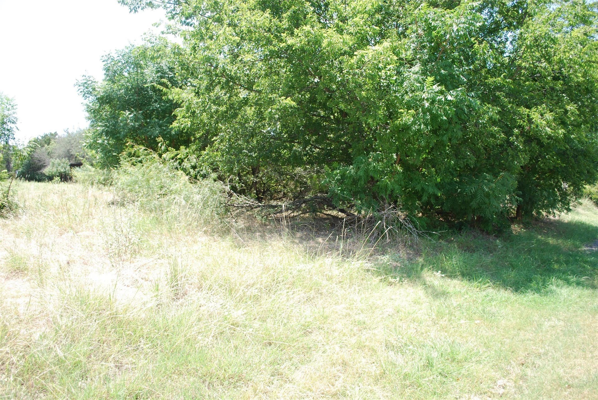 0.7 acres in Hill County - photo 6