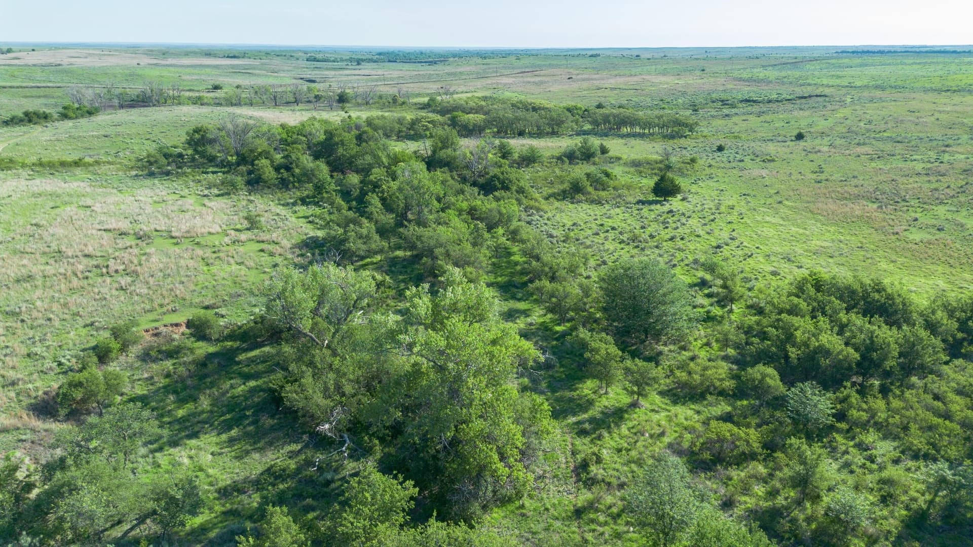 640 acres in Gray County - photo 7
