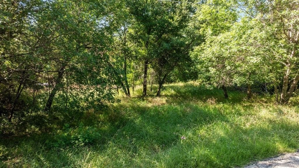 0.19 acres in Hood County gallery image 3