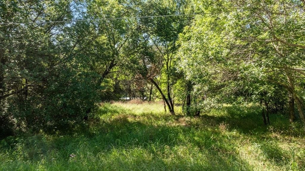 0.19 acres in Hood County gallery image 4