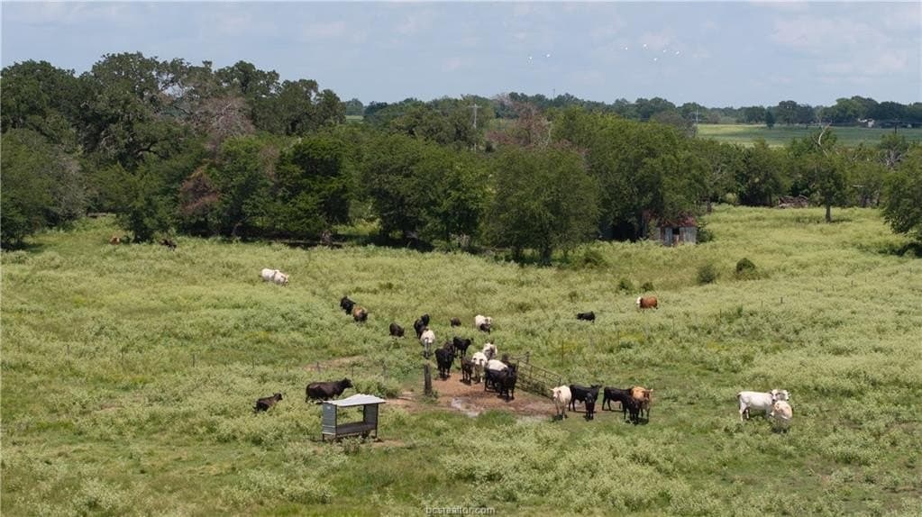 314.01 acres in Brazos County - photo 11