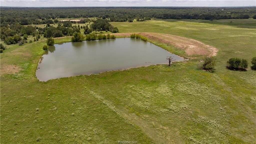 314.01 acres in Brazos County - photo 21