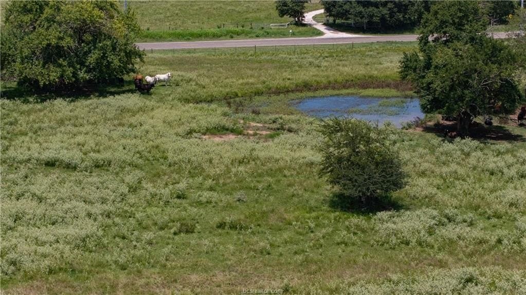 314.01 acres in Brazos County - photo 16