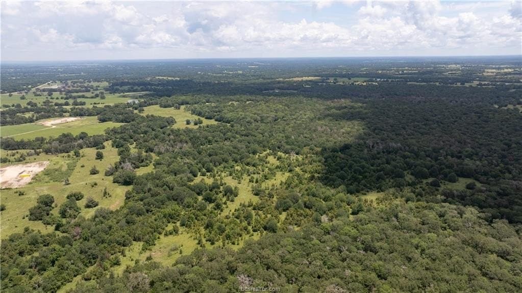 314.01 acres in Brazos County - photo 46
