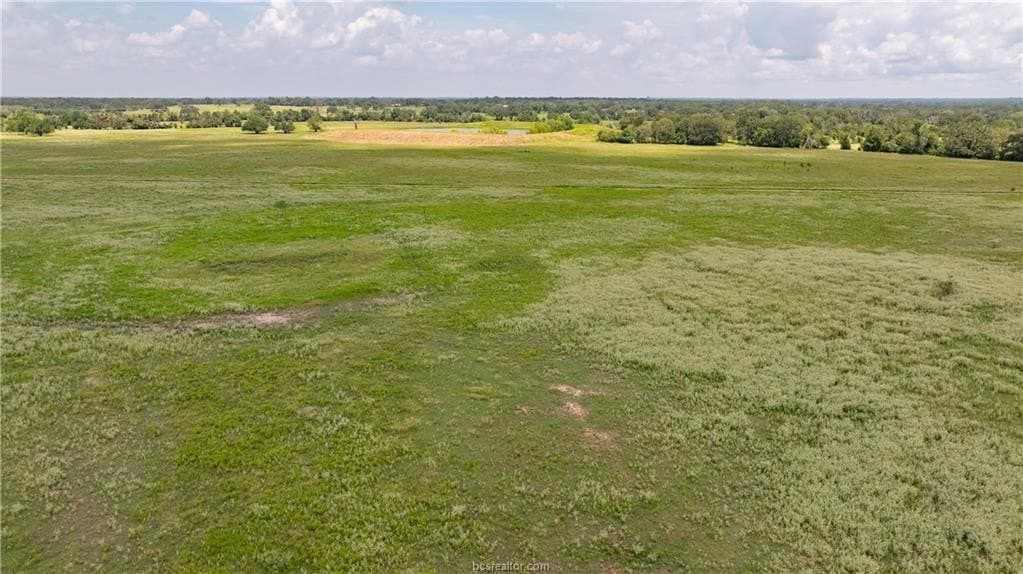 314.01 acres in Brazos County - photo 29