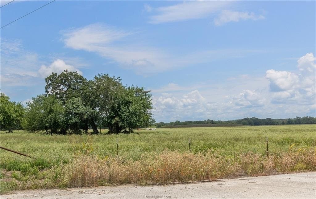 314.01 acres in Brazos County - photo 33