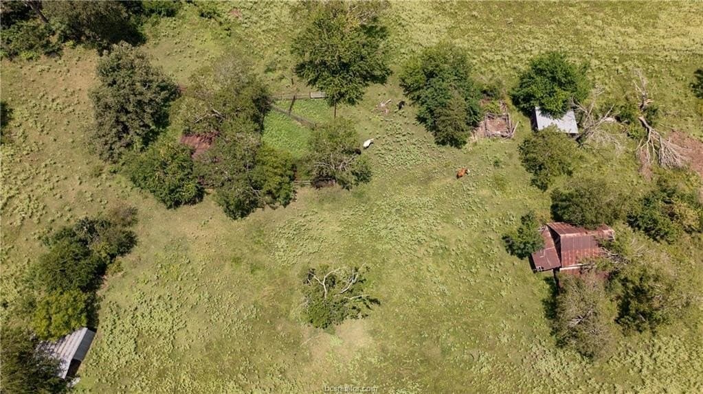 314.01 acres in Brazos County - photo 19