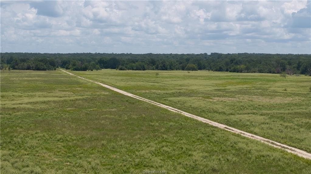 314.01 acres in Brazos County - photo 9