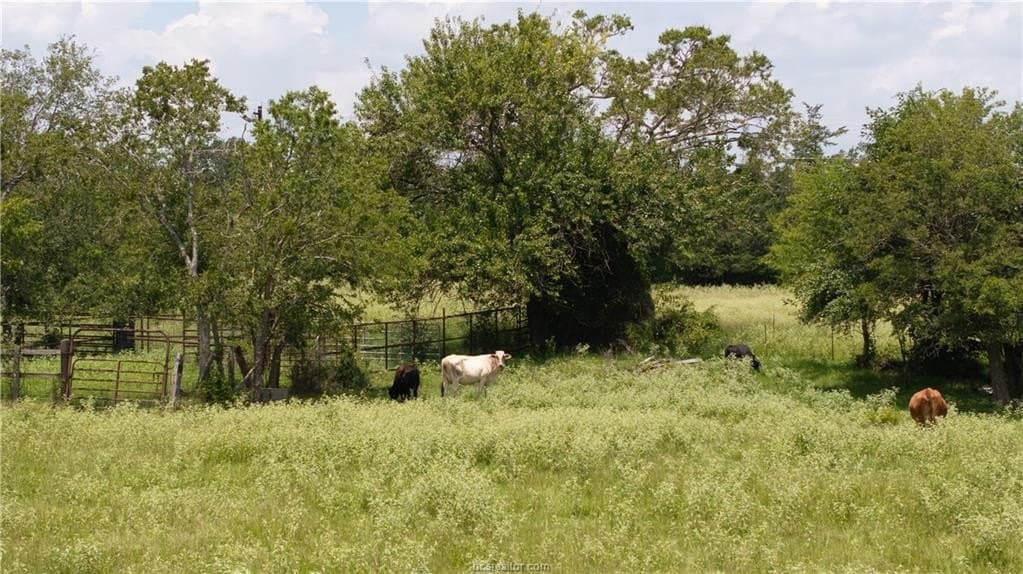 314.01 acres in Brazos County - photo 22