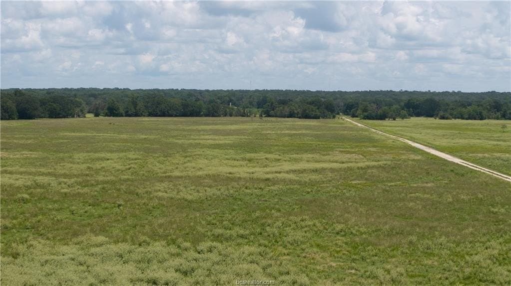 314.01 acres in Brazos County - photo 8