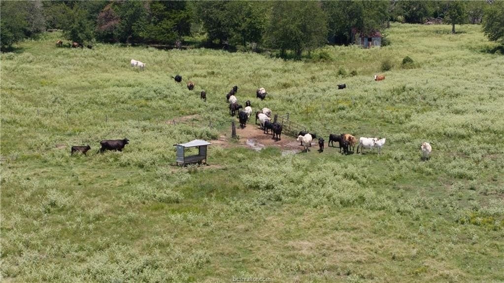 314.01 acres in Brazos County - photo 13