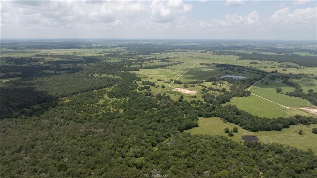 314.01 acres in Brazos County - photo 45