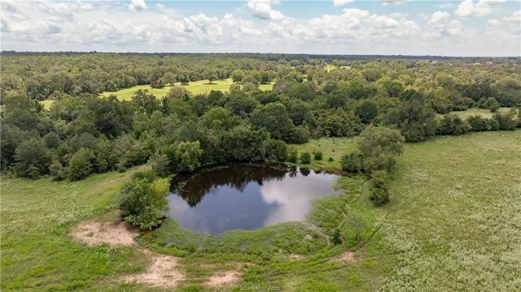 314.01 acres in Brazos County - photo 38