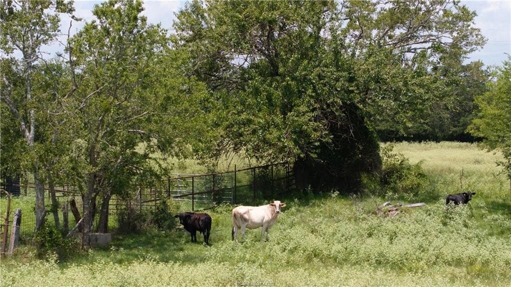 314.01 acres in Brazos County - photo 20