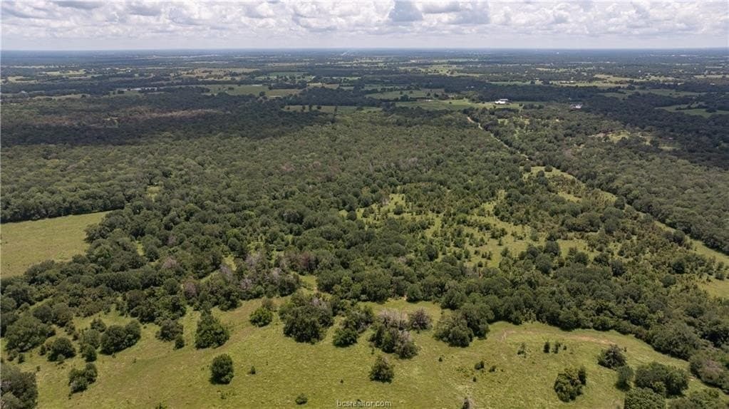314.01 acres in Brazos County - photo 40