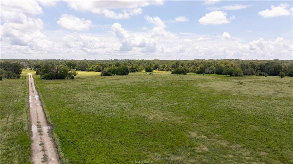314.01 acres in Brazos County - photo 27