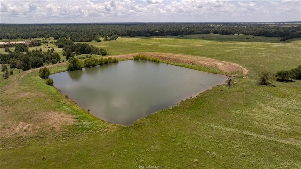 314.01 acres in Brazos County - photo 24