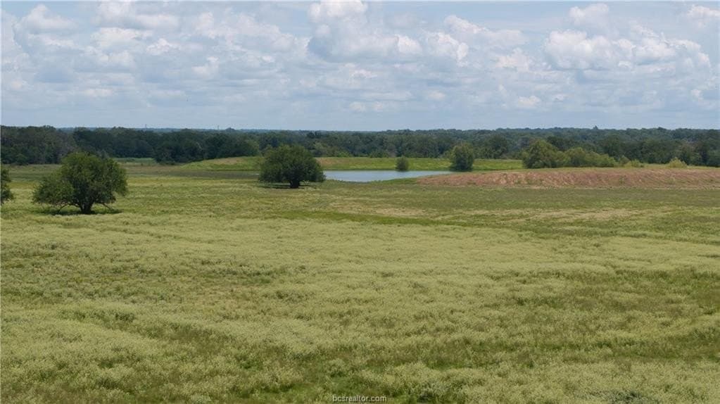 314.01 acres in Brazos County - photo 12