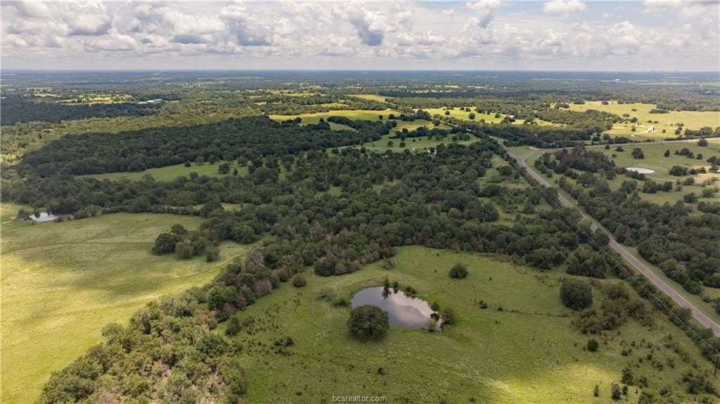 314.01 acres in Brazos County - photo 49