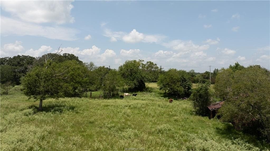 314.01 acres in Brazos County - photo 36