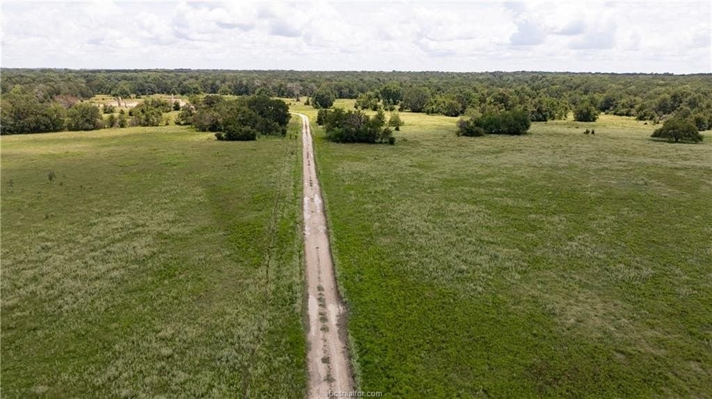 314.01 acres in Brazos County - photo 28