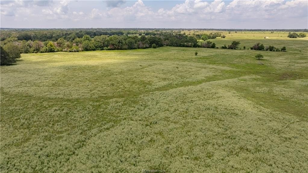 314.01 acres in Brazos County - photo 30