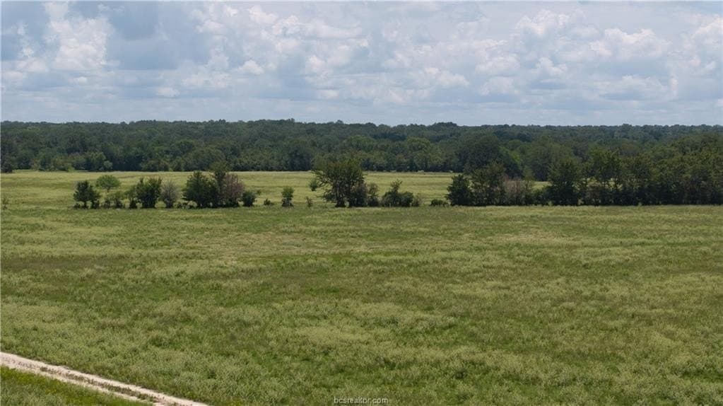 314.01 acres in Brazos County - photo 7
