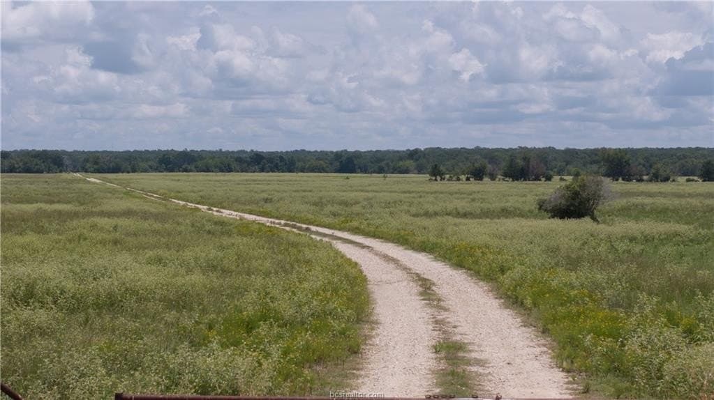 314.01 acres in Brazos County - photo 6