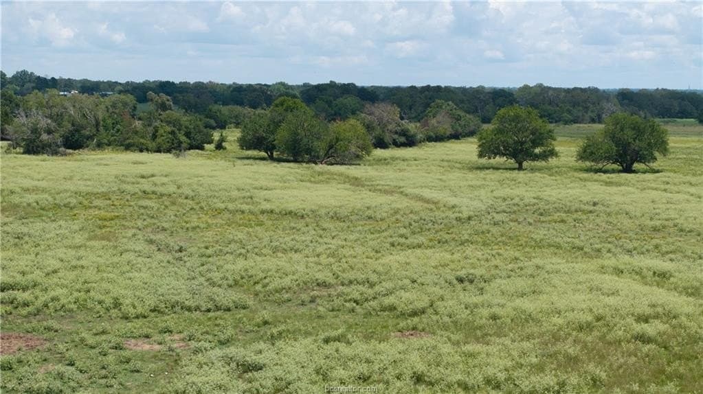 314.01 acres in Brazos County - photo 10