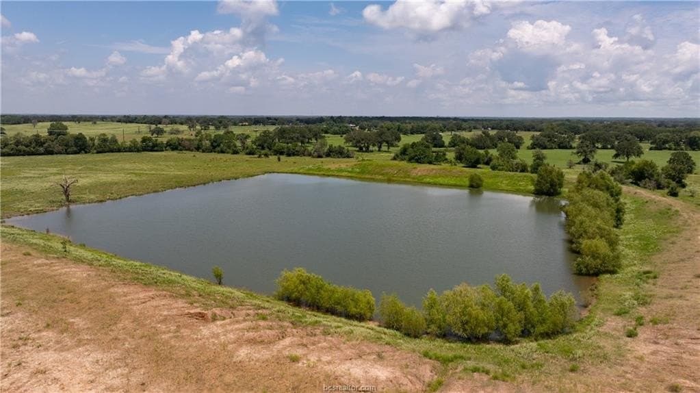 314.01 acres in Brazos County - photo 25