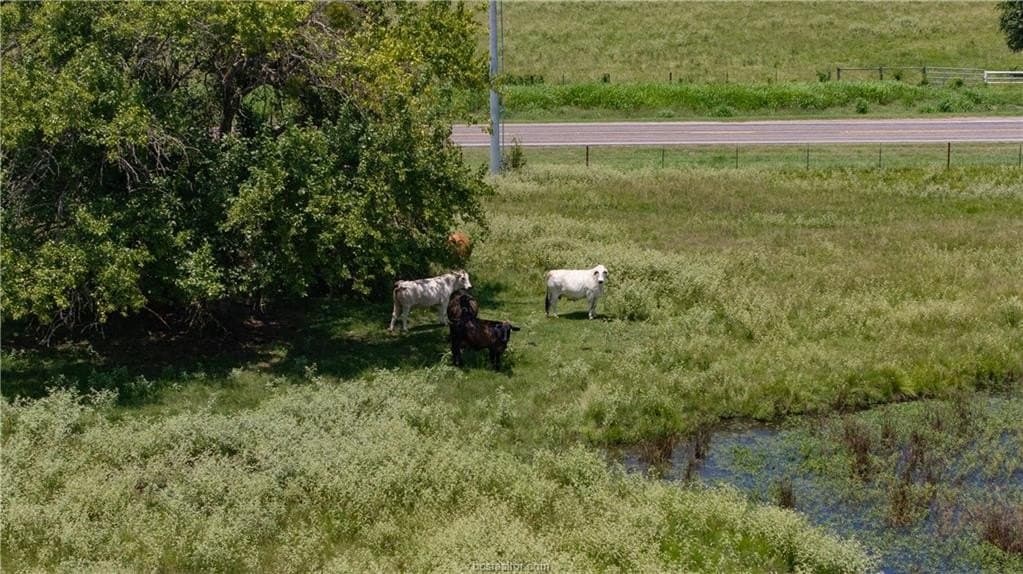 314.01 acres in Brazos County - photo 17