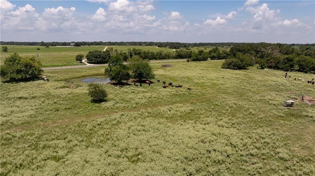 314.01 acres in Brazos County - photo 15