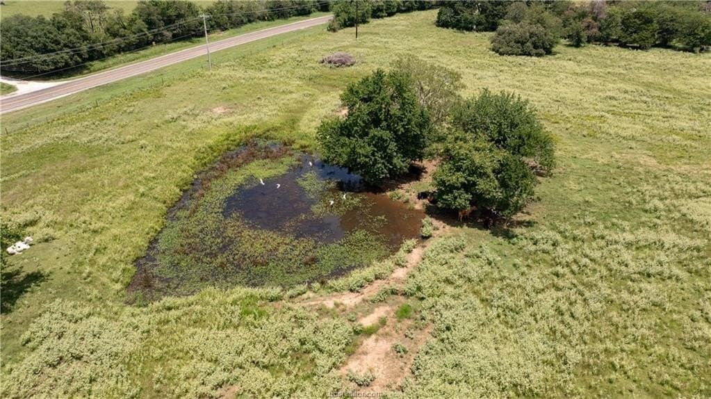 314.01 acres in Brazos County - photo 18