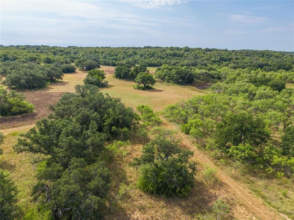288.8 acres in Coleman County gallery image 4