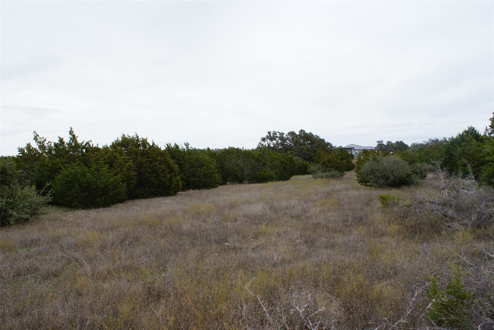 6.02 acres in Blanco County - photo 12