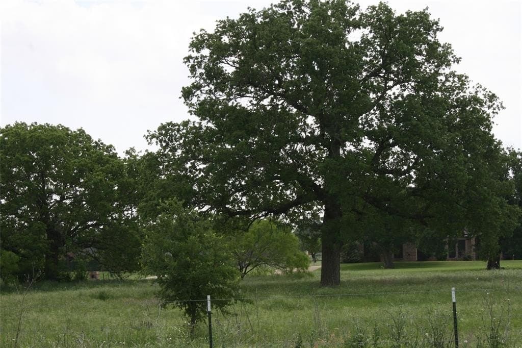 6.38 acres in Palo Pinto County gallery image 4