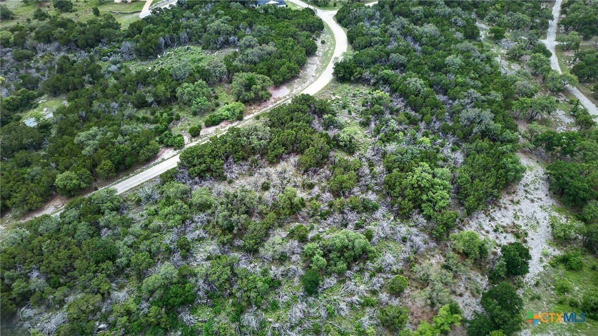 0.28 acres in Burnet County - photo 6