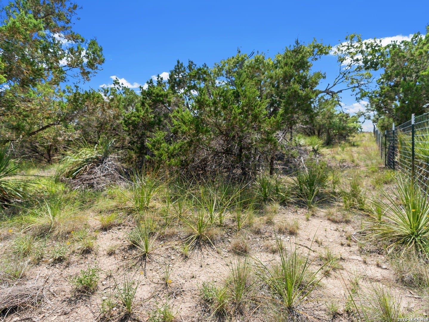 4.48 acres in Comal County featured view