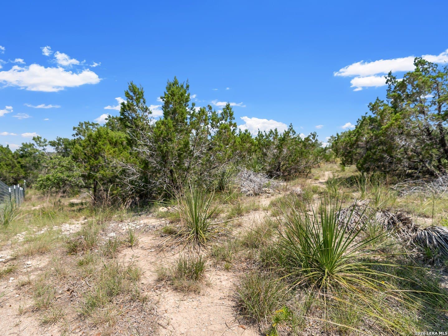 4.48 acres in Comal County gallery image 4