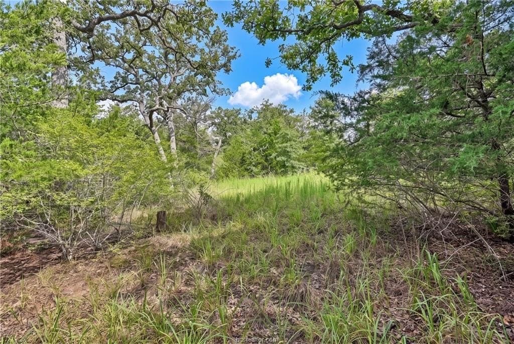 1.23 acres in Burleson County - photo 11