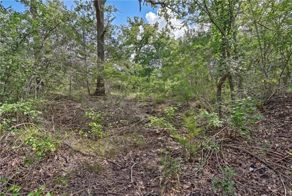 1.23 acres in Burleson County - photo 9