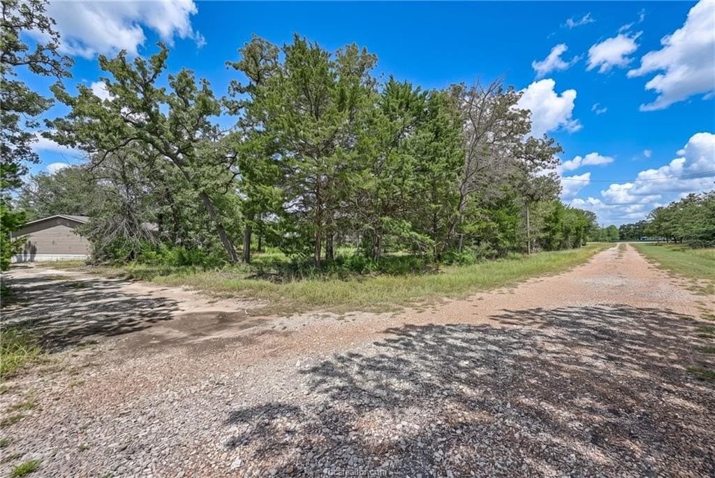 1.23 acres in Burleson County - photo 8